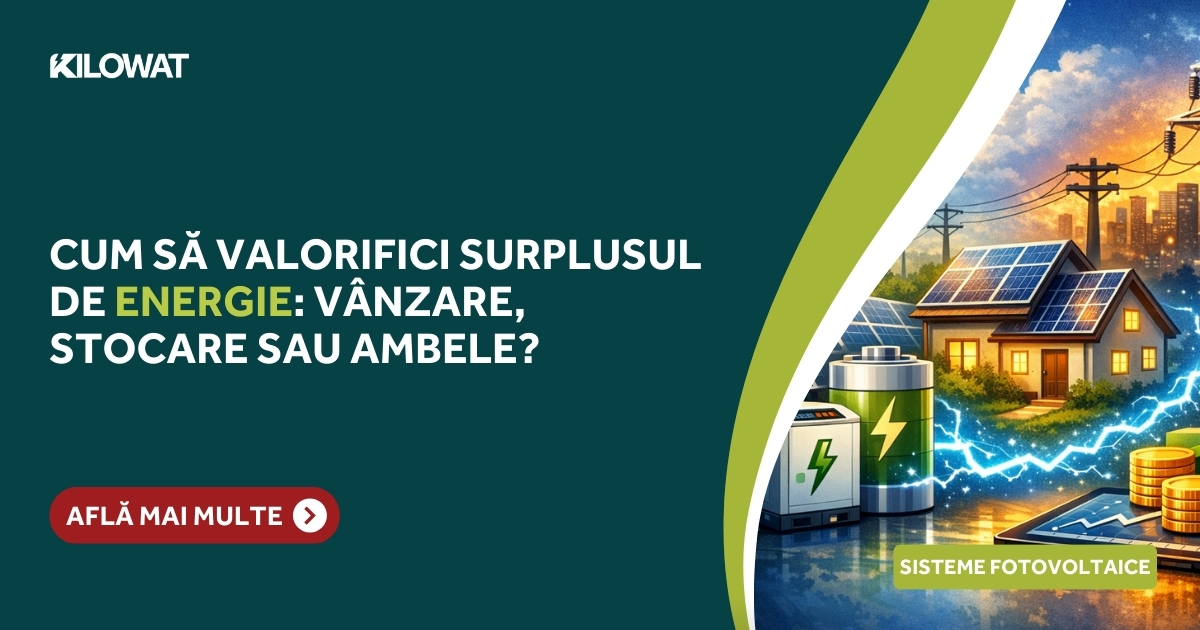 Cum să valorifici surplusul de energie: Vânzare, stocare sau ambele?